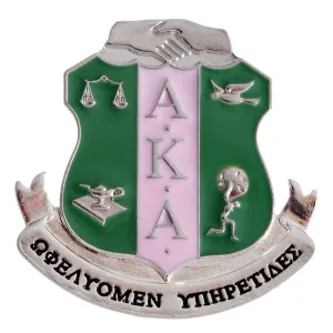Alpha Kappa Alpha AKA Pink Green Sorority Shield Brooch