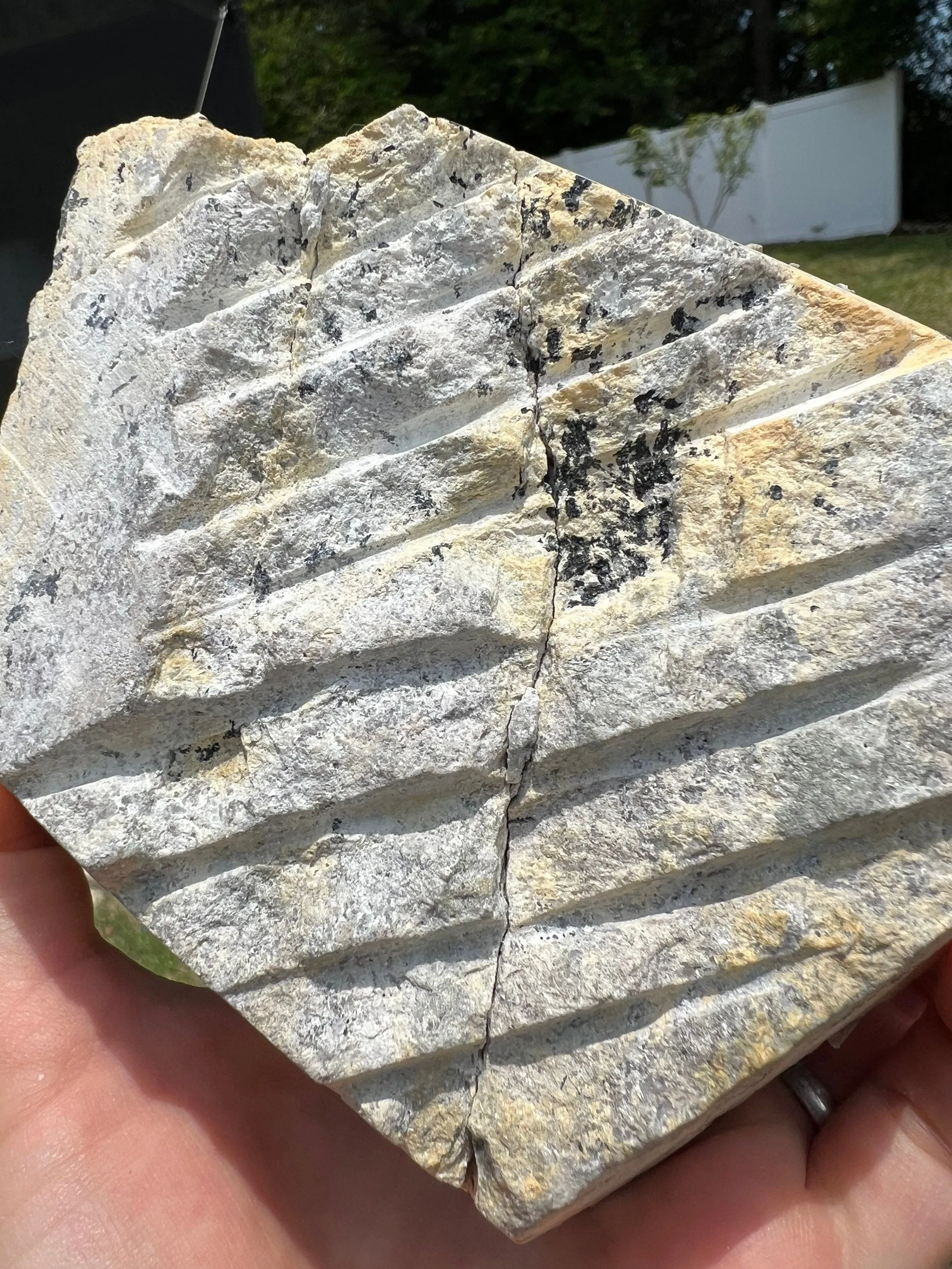 Aquamarine on muscovite 1pound 13oz