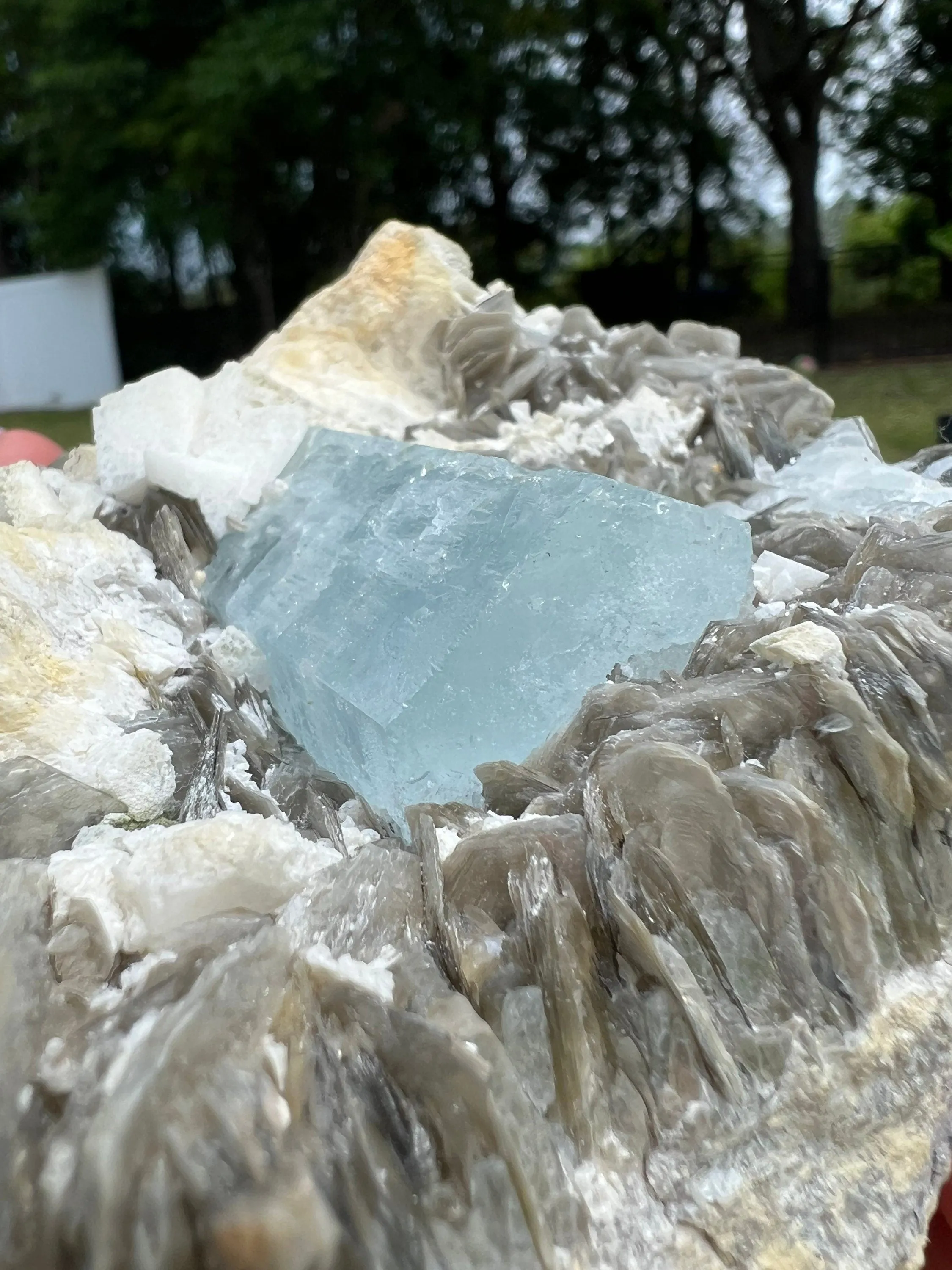 Aquamarine on muscovite 1pound 13oz