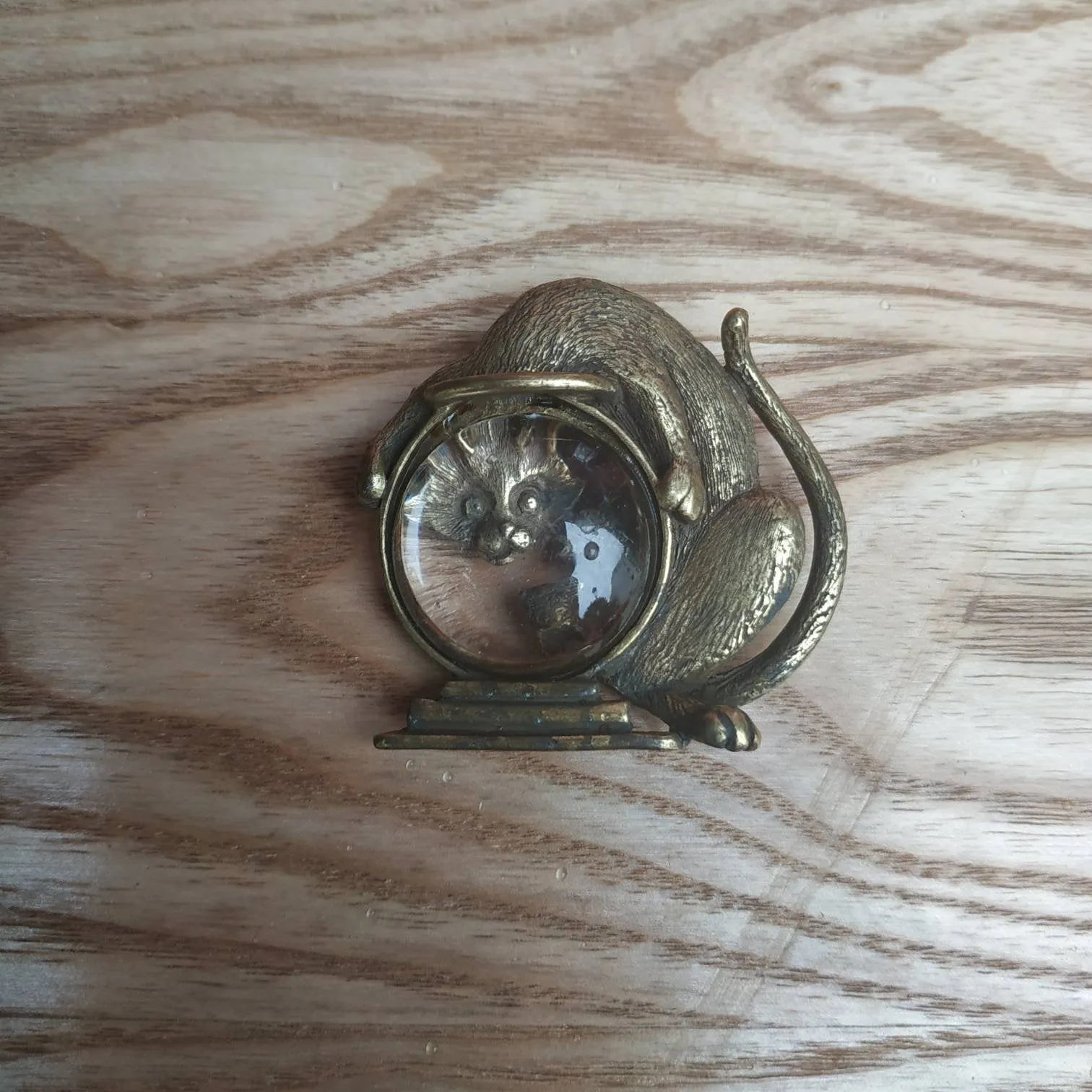 Cat with a Fishbowl brooch by JJ pewter